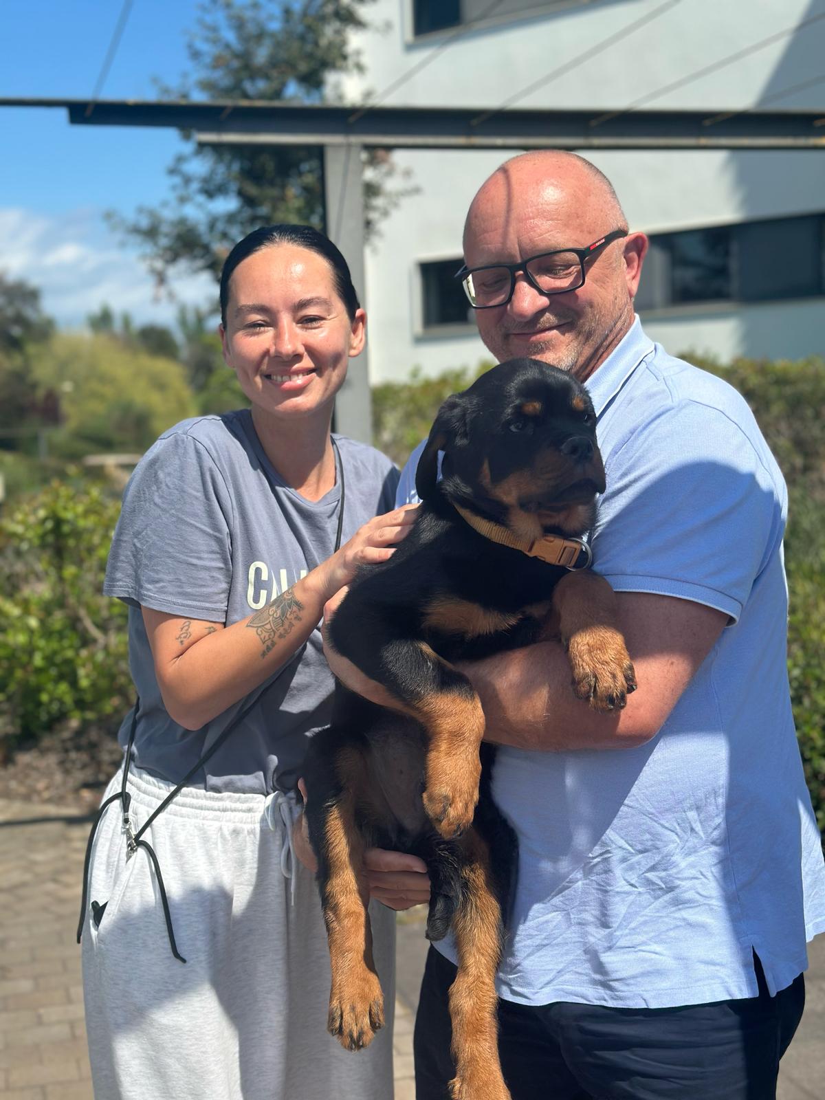 Rottweilers in Spain