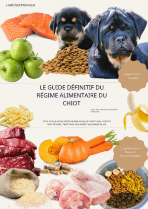 Le Guide Ultime de l’Alimentation du Chiot