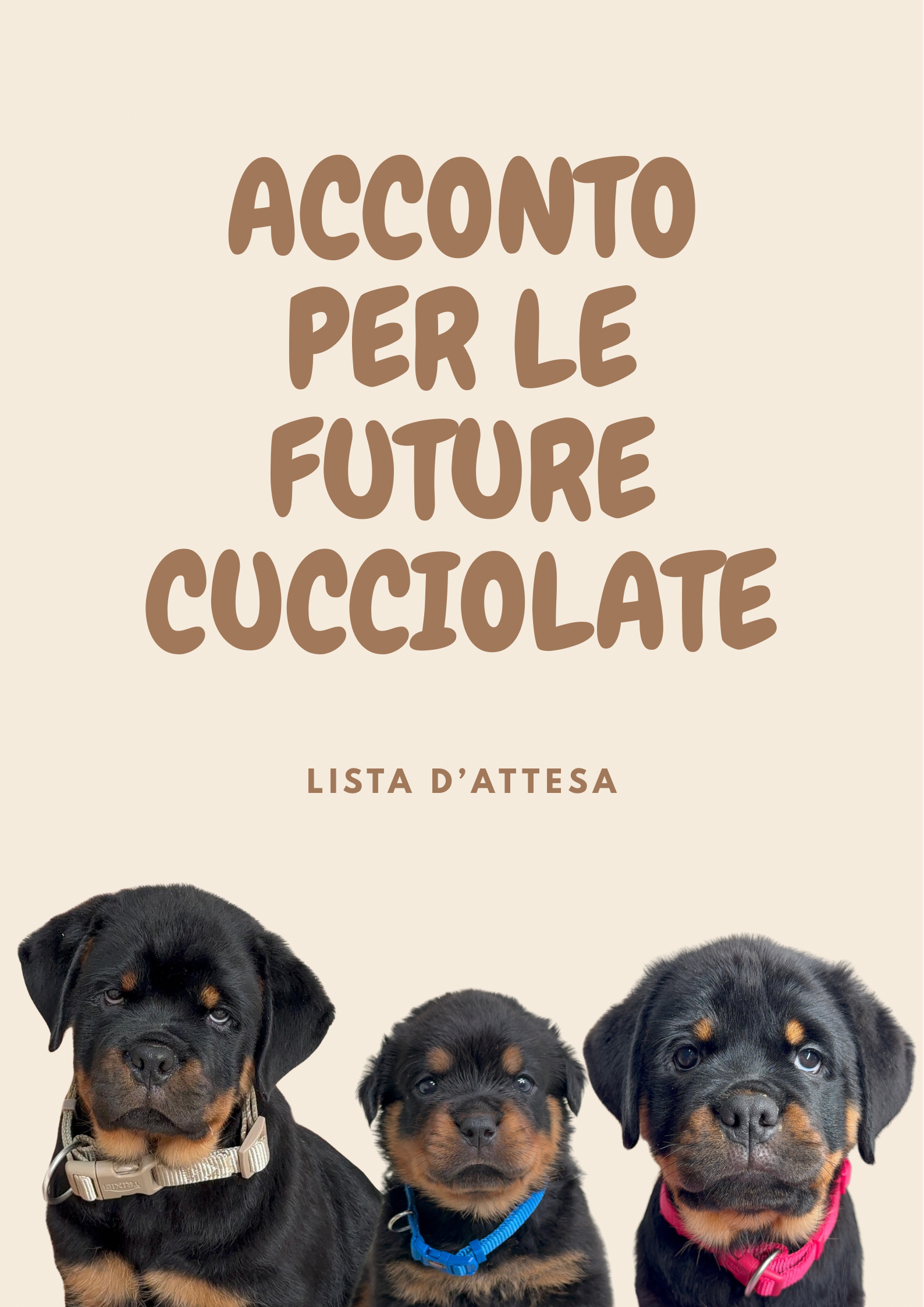 Deposito per Cucciolate Future