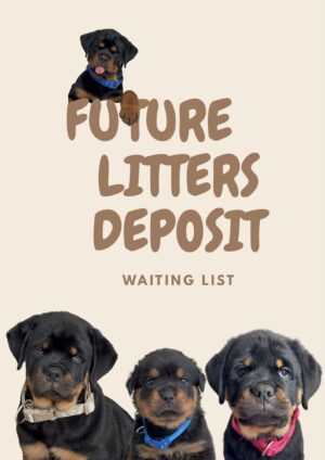 Future Litters Deposit-Limited Time Offer- Deposit Valid for 12 Months