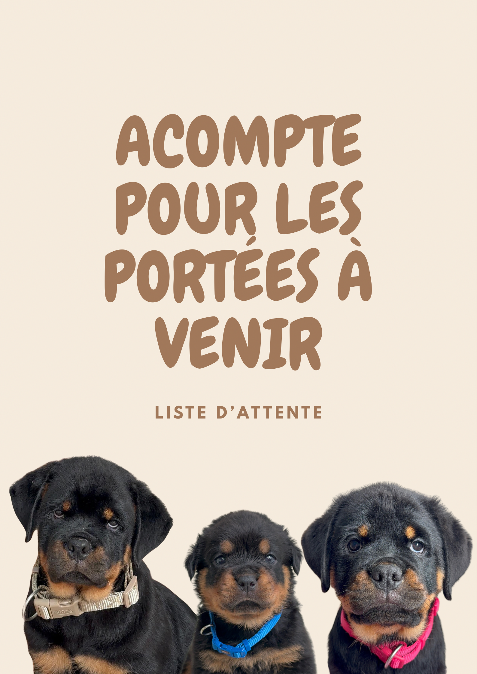 Acompte pour les portées futures