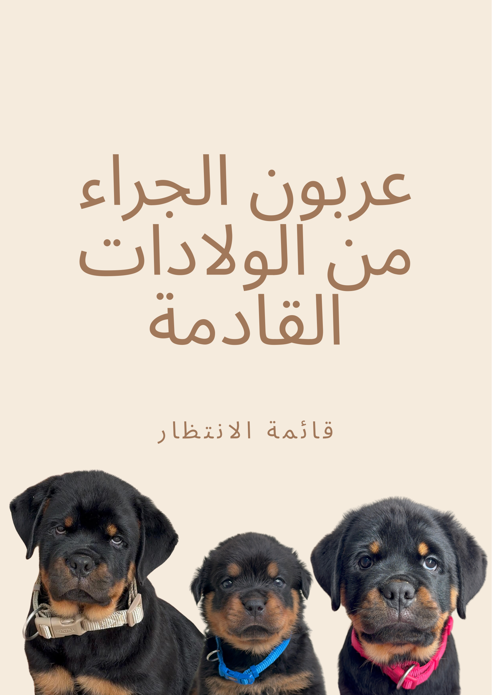 عربون الولادات المستقبلية