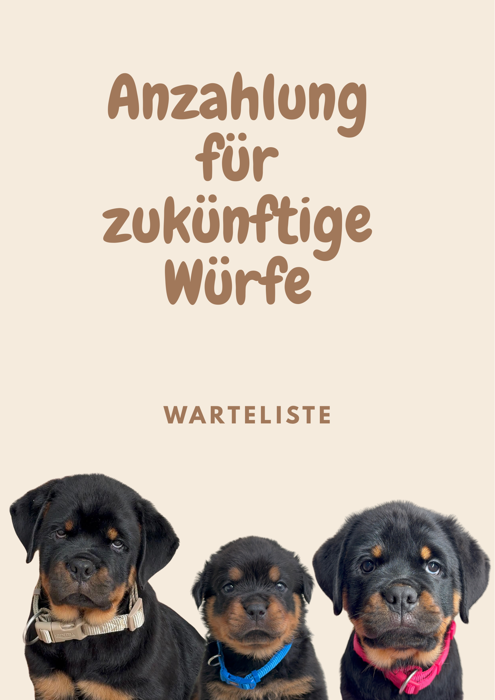 Anzahlung für zukünftige Würfe