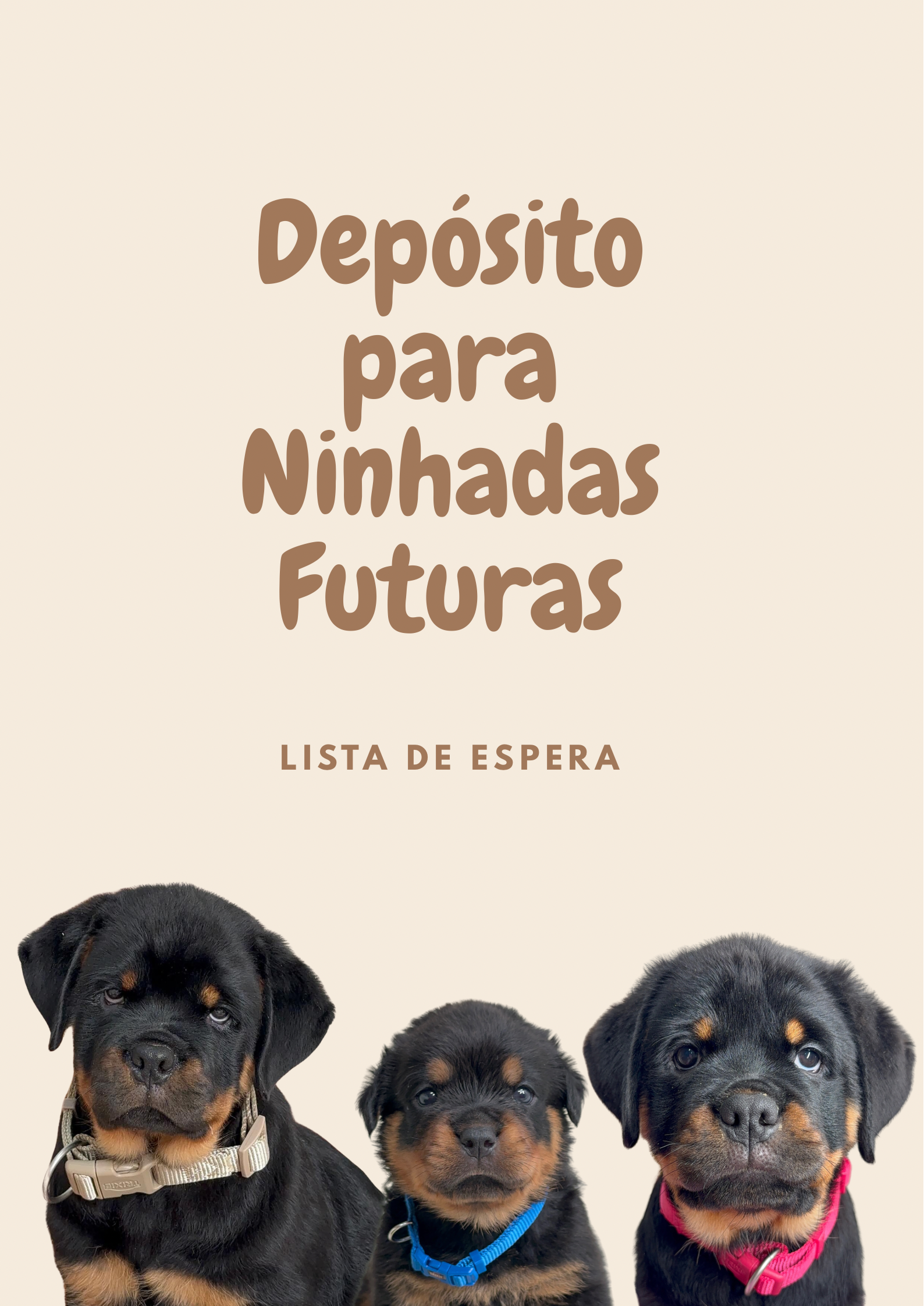 Depósito de Ninhadas Futuras