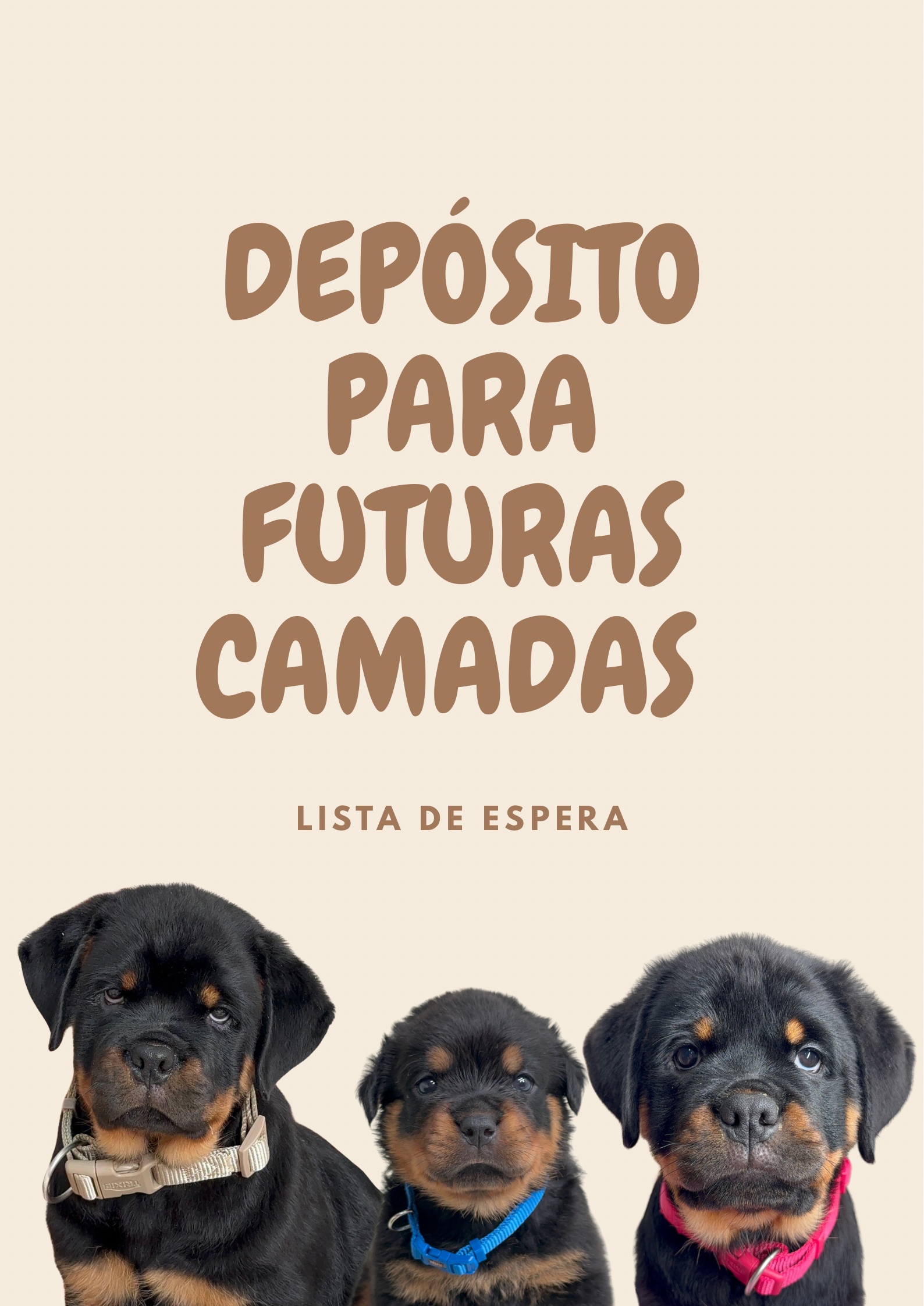 Depósito de futuras camadas