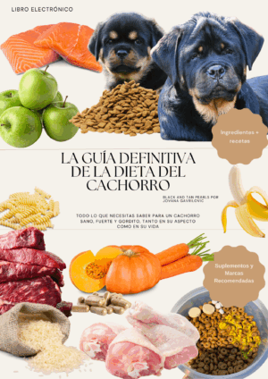 La Guía Definitiva de Alimentación para Cachorros
