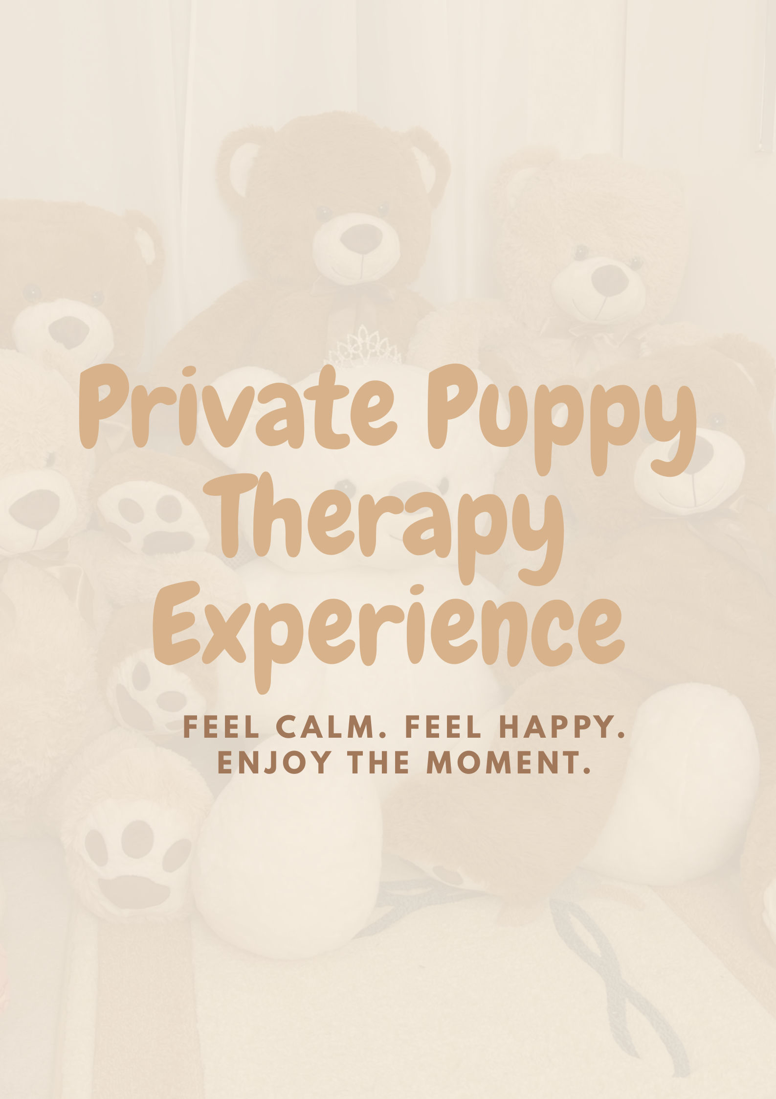 Private Puppy Therapy Experience