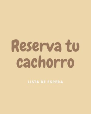 Reserva tu cachorro Rottweiler – Depósito para la lista de espera