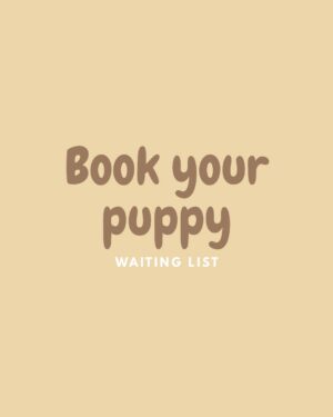 Reserve Your Puppy Now – Waiting List Deposit