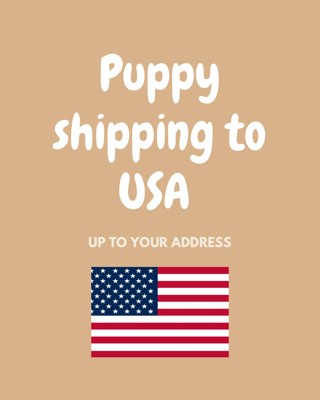 Puppy Shipping to USA