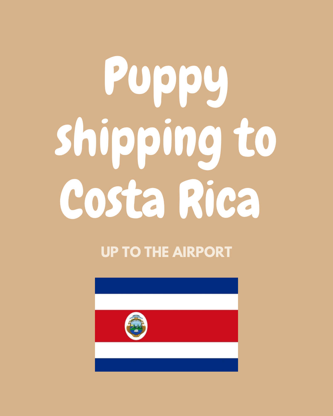 Puppy shipping to Costa Rica