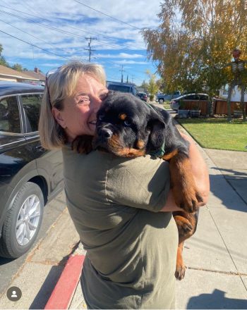 STOUTLIVERMORE,CALIFORNIA,USA  Instagram: @rottie_disney_lover