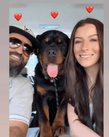 MILODUBAI,UNITED ARAB EMIRATESInstagram: @milo.the.rottie.in.dubai @coach_louis @elizabethayley