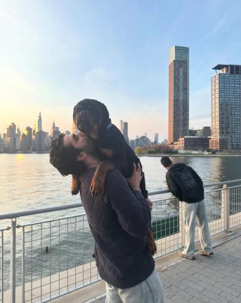 BLUENEW YORK,USA  Instagram: @arshiababaa
